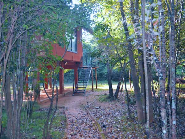 Ascend to Your Sanctuary