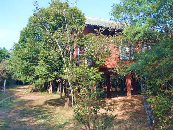 Elevated Living on Pillars