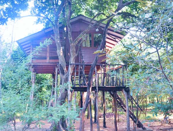 The Treehouse Retreat