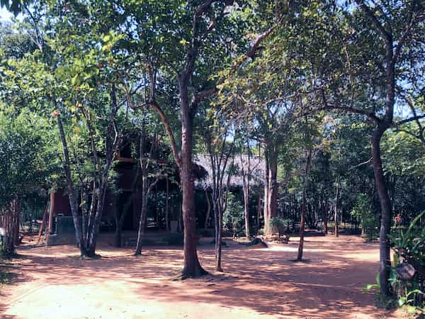 The Verdant Courtyard