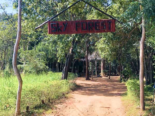 Welcome to Sky Forest