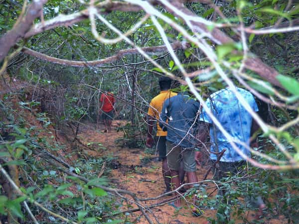 Guided Wilderness Exploration