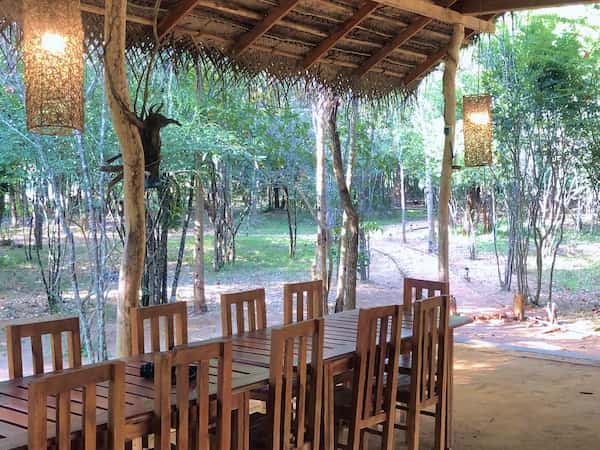 Dining Amidst Nature